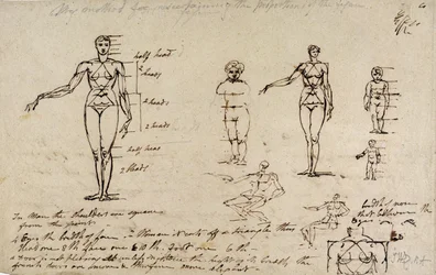 Studien der Anatomie mit Messungen und Schrift